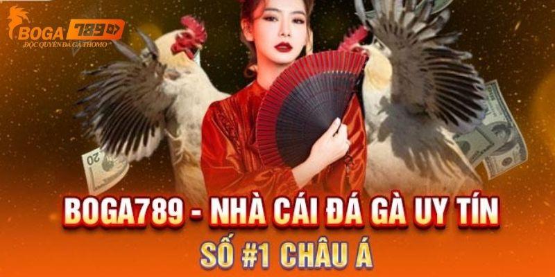 Giới thiệu Boga789 - Đôi nét thông tin về địa chỉ cược hấp dẫn.