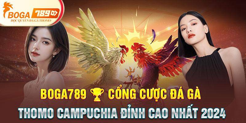 Boga789 cổng cược đá gà Thomo đỉnh nhất 2024