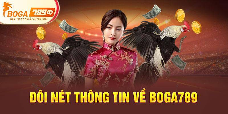 Giới thiệu đôi nét thông tin về Boga789