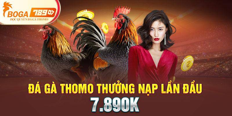 Đá gà Thomo thưởng nạp lần đầu 7.890K